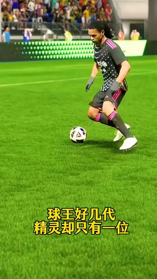 迷和教练的
